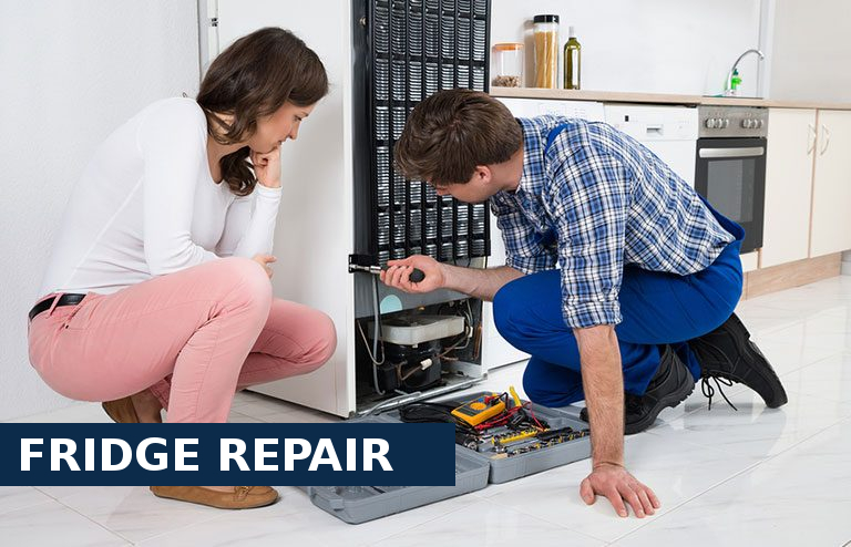 Fridge Repair Chiswick
